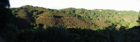 Black Mountain Trail Panorama (1200ft)