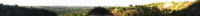 Rhus Ridge Trail Viewpoint (780ft)