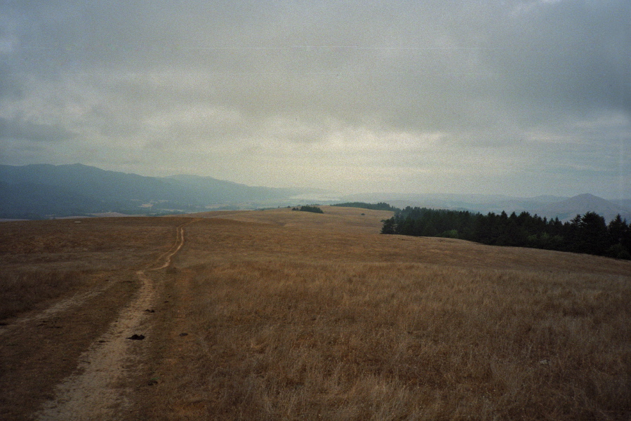 Bolinas Ridge Fire Trail on the north end of the ridge.