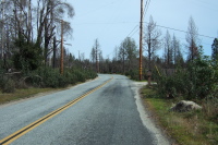 Passing through the burn zone on Martin Rd., Bonny Doon.