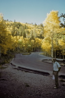 Previous