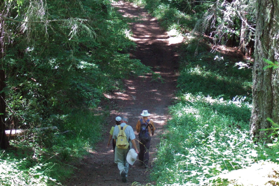 Stella, Frank, and David proceed down the Towne Fire Road.