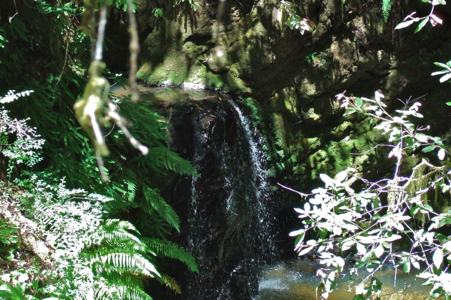 Waterfall on Jones Creek