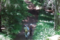 Stella, Frank, and David proceed down the Towne Fire Road.