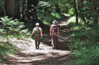 Stella and Frank head down the Bravo Fire Road.