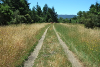 Hikers on the Towne Fire Road