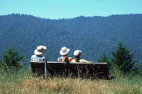 David, Frank, and Stella enjoy the view of Butano Ridge from Bear Ridge.