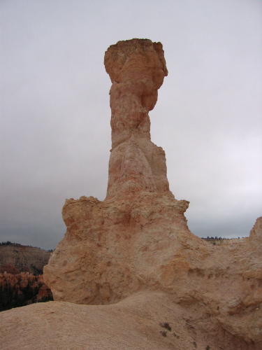 The White Fist, from the rear.