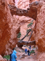 Natural bridges on the Navajo Trail, Bryce Canyon.