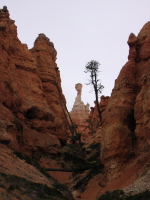 Looking up a canyon at The White Fist.