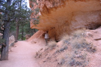 Bill under an overhanging rock.