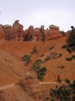 Kay getting ahead on the trail.