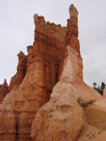 The Castle.