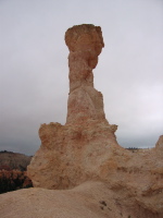 The White Fist, from the rear.