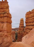 Bill standing next to a large hoodoo.