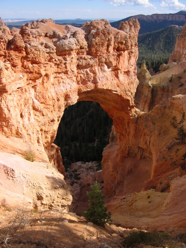 Natural Bridge at Natural Bridge Overlook.