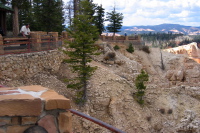 An enormous man enjoying the view from Rainbow Point, Bryce Canyon.