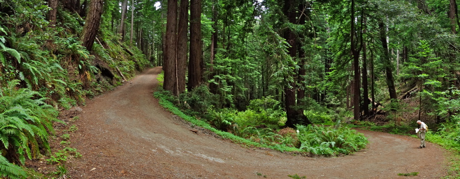 Olmo Trail makes a hairpin bend.