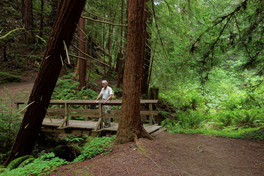 David on bridge over Little Butano Creek