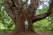 Bill stands before the Candelabra Tree.