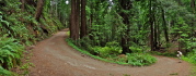 Olmo Trail makes a hairpin bend.