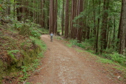 Bill walks up the trail.