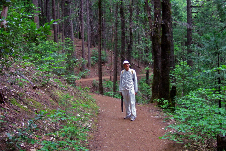 David on the first mile through the forest.