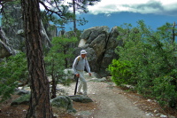 David climbing out of the forest.