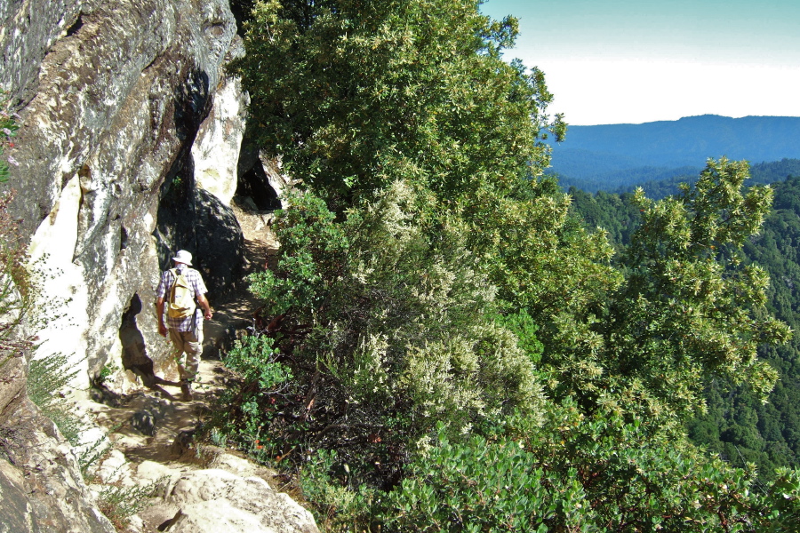 The Saratoga Gap trail hugs the steep hillside.