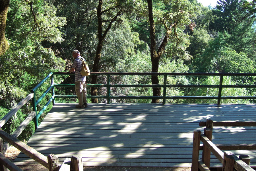David on the Castle Rock Falls observation platform