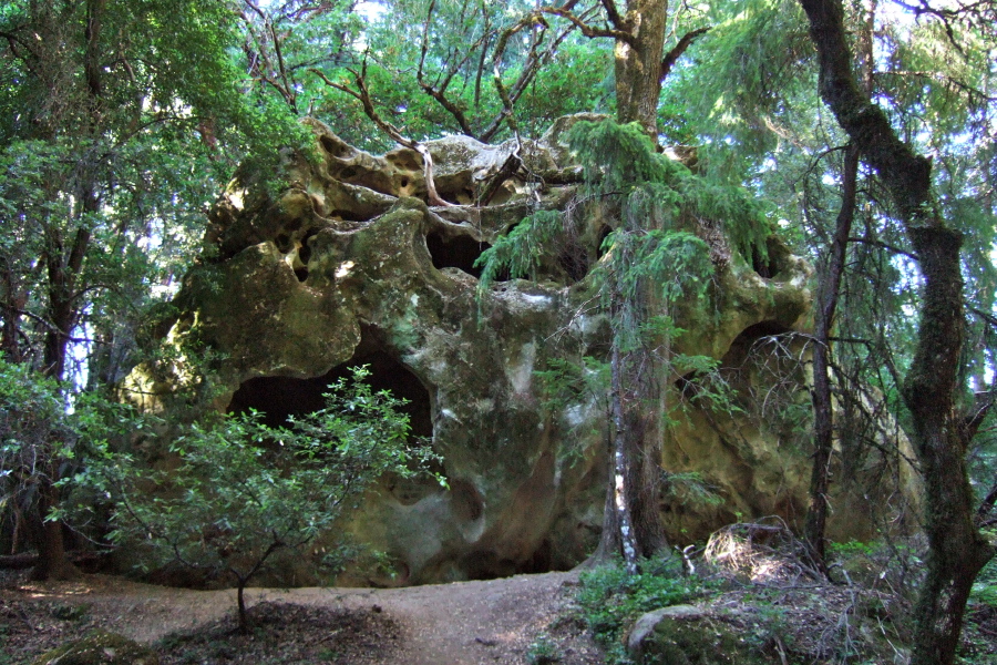 Sandstone formation near the parking lot.