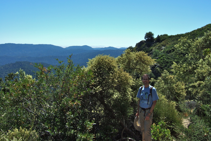 View toward Big Basin from the Ridge Trail