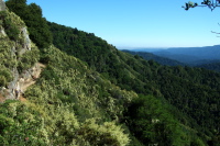 David hikes up the Saratoga Gap Trail.