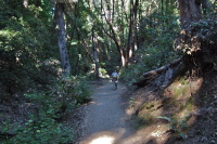 David hikes up the trail.