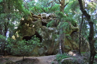 Sandstone formation near the parking lot.