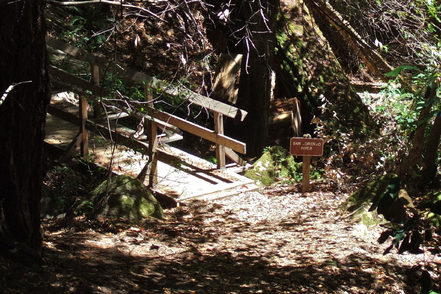 Bridge over the San Lorenzo River