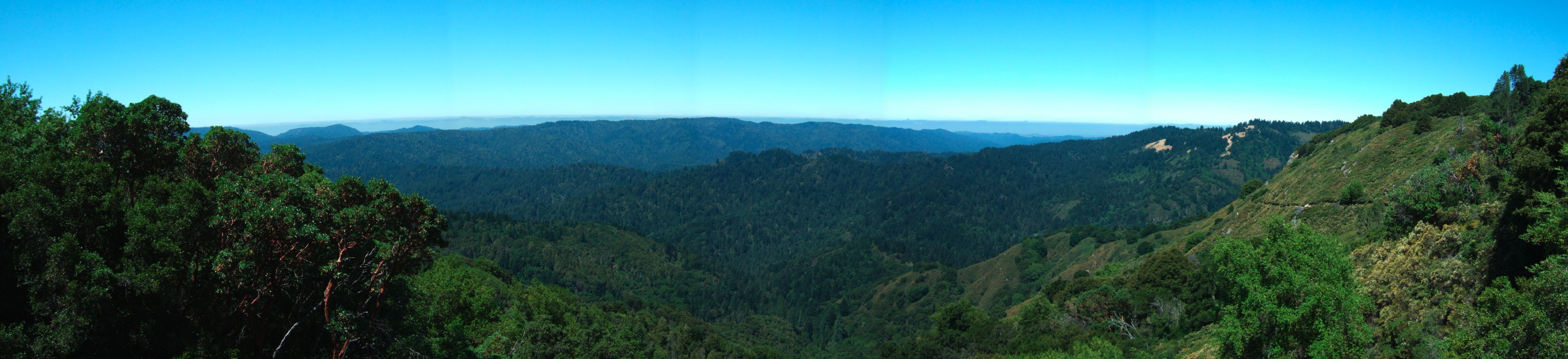 Saratoga Gap Trail Panorama