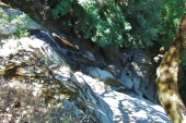 Castle Rock Falls