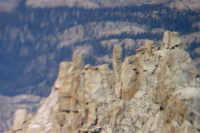 Climbers on the summit block of Cathedral Peak (10971ft)