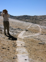 A dike in the granite below Cathedral Peak.