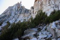 David descending down the climbers route on Cathedral Peak.