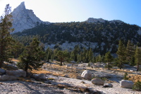 Cathedral Peak from the Budd Creek use trail. (9900ft)