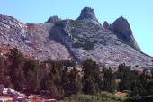 Echo Peaks and the 