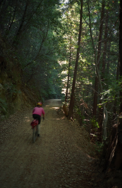 Karen Davis on Gazos Creek Rd.