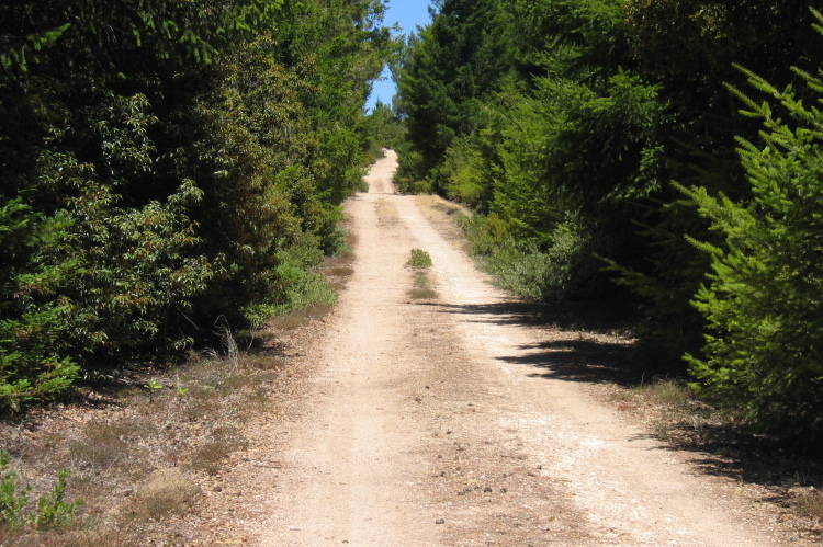 Chalk Mountain Rd. between Chalk Mountain east peak and west peak. (1450ft)
