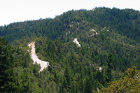 Previous
