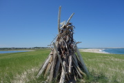 Driftwood monument