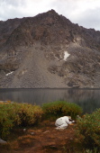 David takes a nap at Ruwau Lake beneath Picture Puzzle.