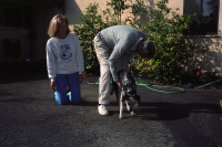 David brushes Clover (2).