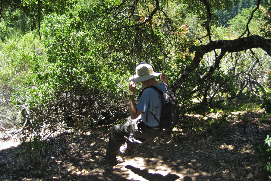 Bill plays on a swing hanging from the branch of an oak tree.